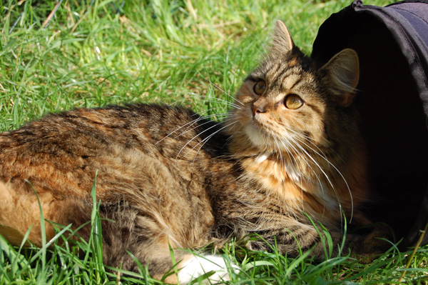 was für ein Leben.jpg